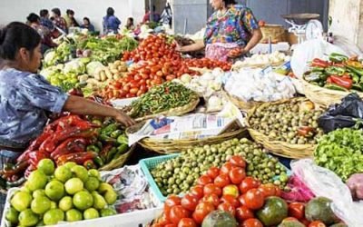 La economía de Guatemala y su agricultura